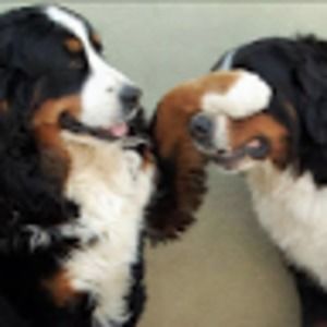 Meet your Posher, Savannah